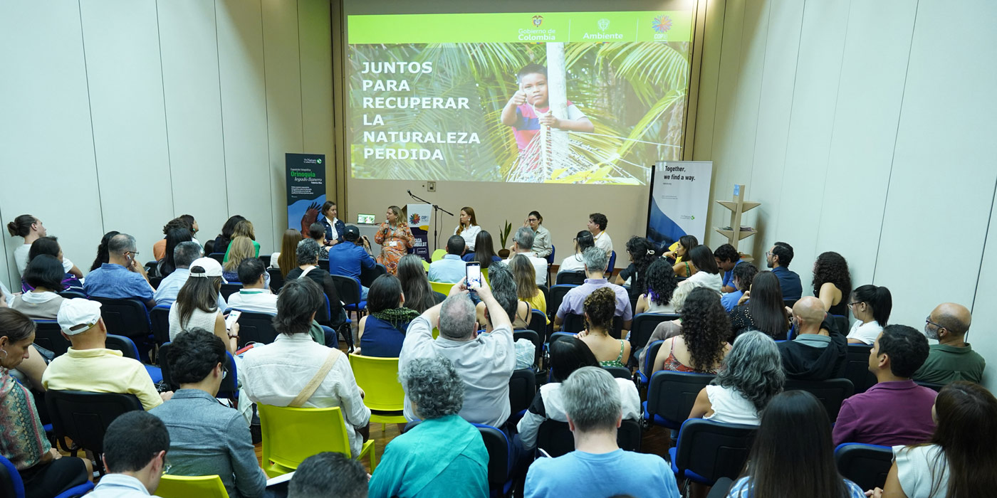 Restaurar para prosperar: el rol de las empresas en la recuperación de los ecosistemas