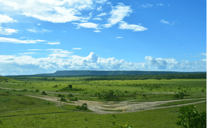 Imagen de uno de los paisajes de la región de la Orinoquia en Colombia.