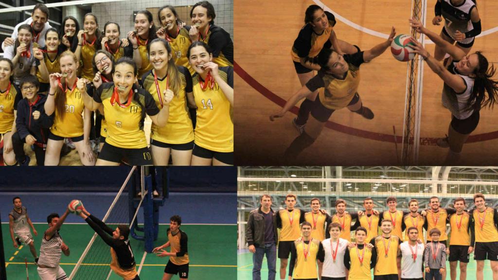 Equipo femenino de voleibol de Los Andes