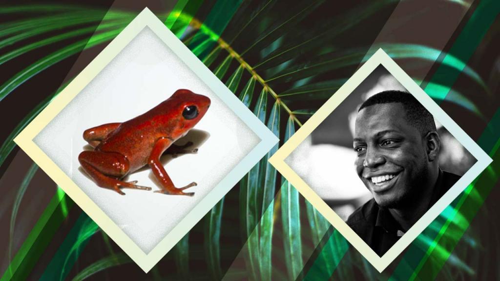 Picture of Pablo Palacios and the Andinobates victimatus frog