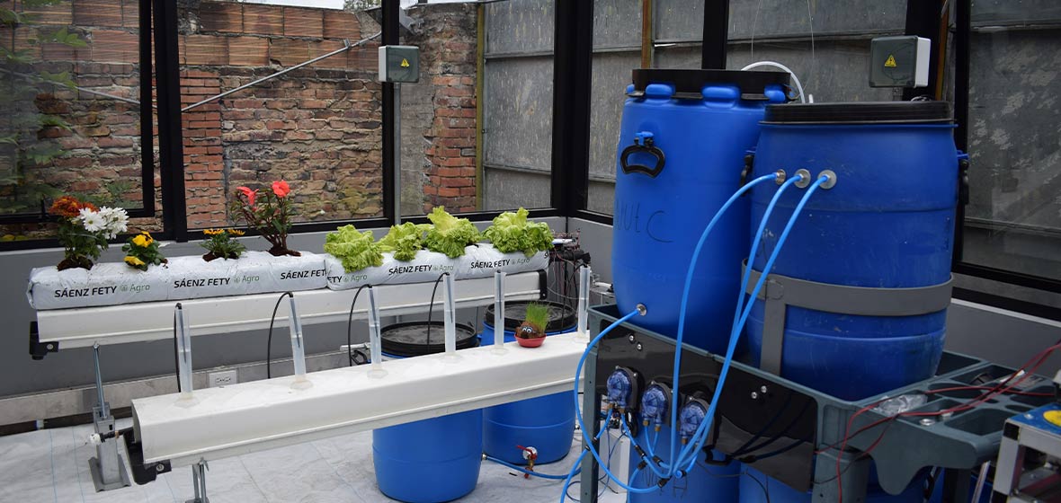 Foto banco de pruebas para optimizar cultivos hidropónicos