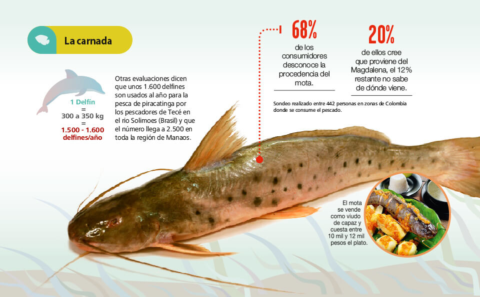 gráfico con información del pez mota