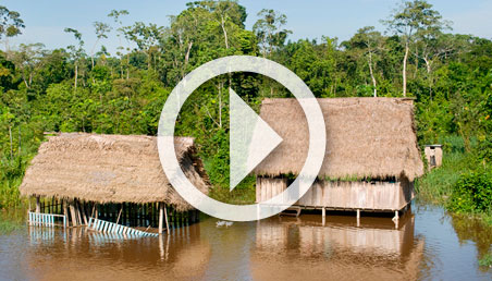 Dos casas de pueblos indígenas, en el medio del río Amazonas.