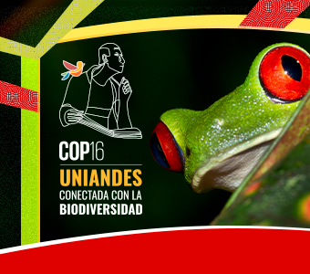 Colombia defiende su biodiversidad en la COP16  