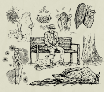 Ilustraciones de biodiversidad