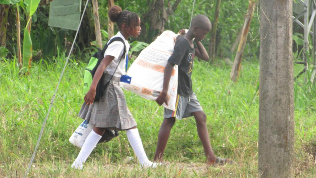 Niño y niña afrodescendientes caminan por una zona verde, él carga un bulto al hombro y ella carga la maleta del colegio.  