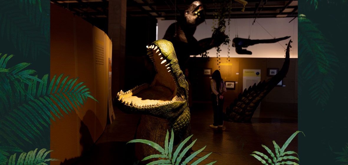 Exposición dinosaurios Uniandes 1