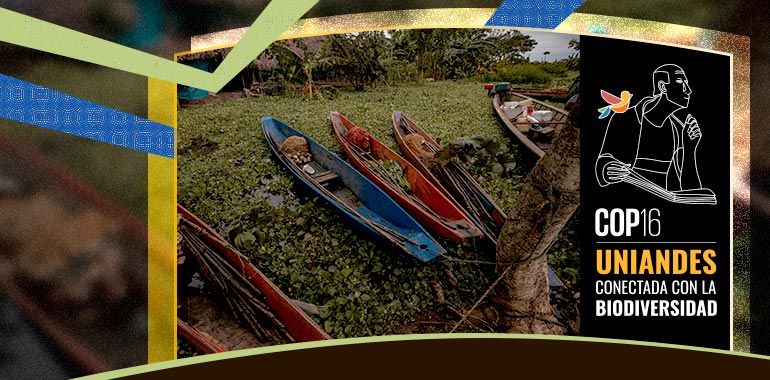 Canoas y logo COP 16 Uniandes conectada con la biodiversidad