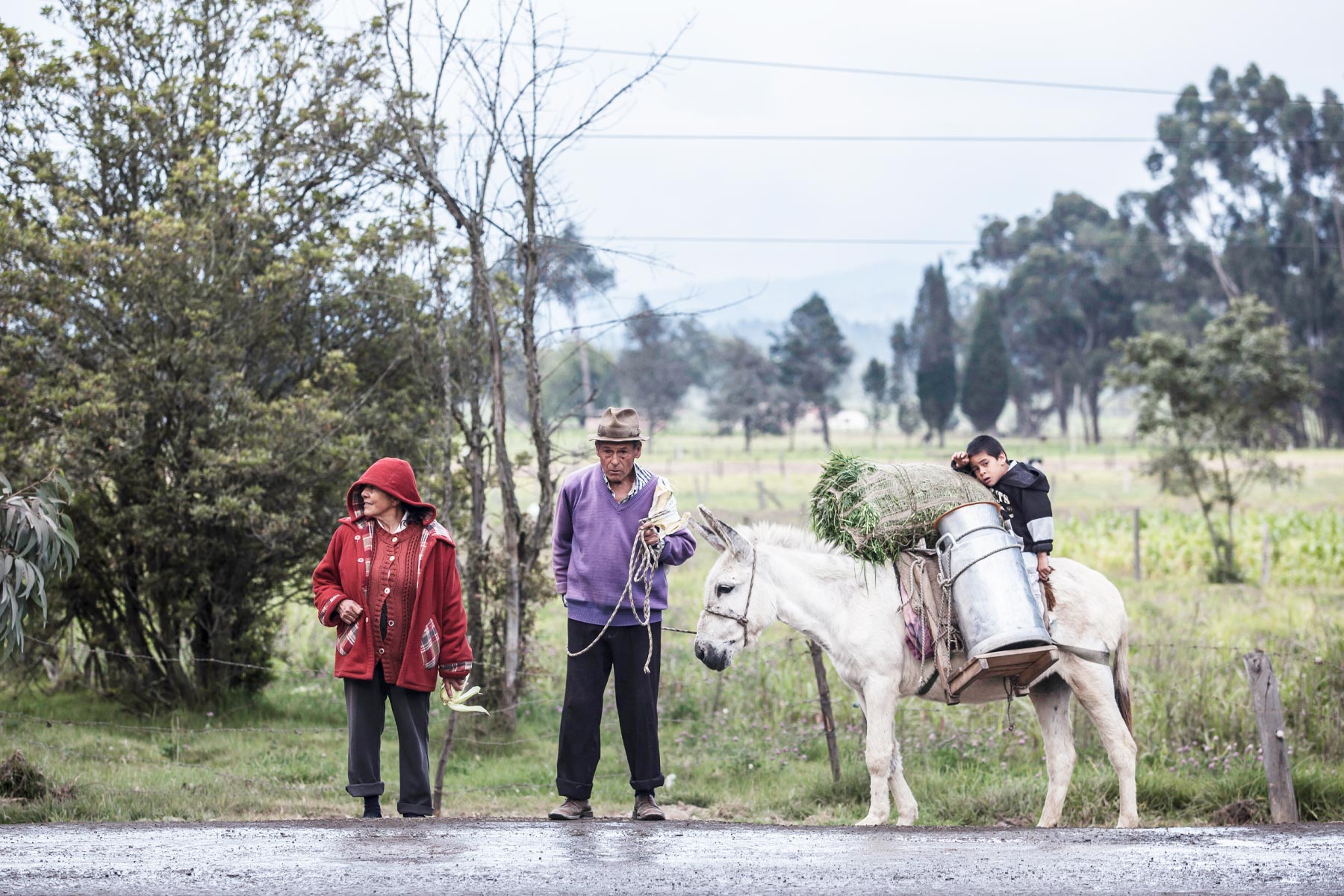 Dos campesinos junto a su mula que carga unas cantinas y un niño. 