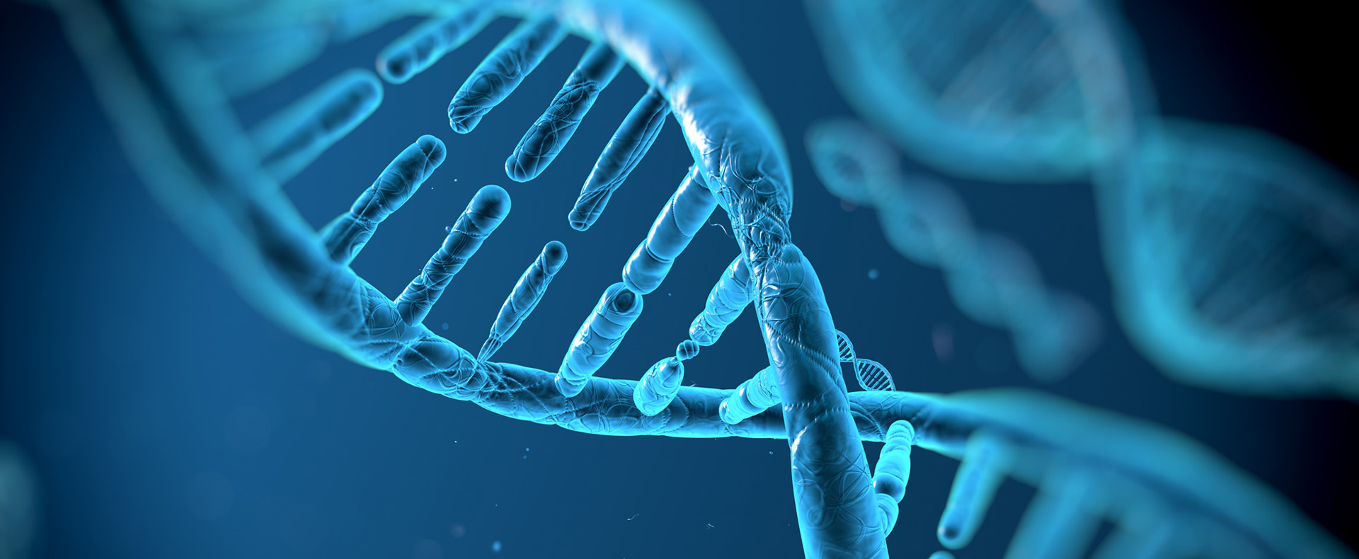 Cadena genética, ADN humano. 