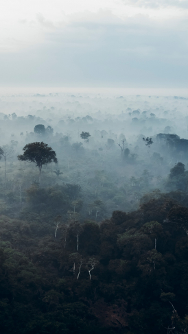 Los ríos voladores en el Amazonas