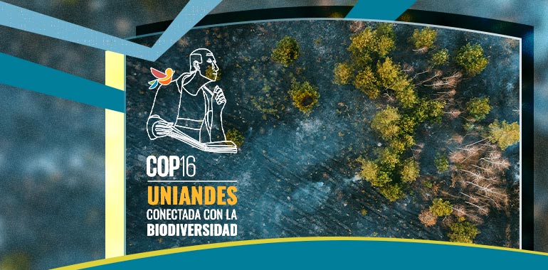 La naturaleza como sujeto de dolor - COP16