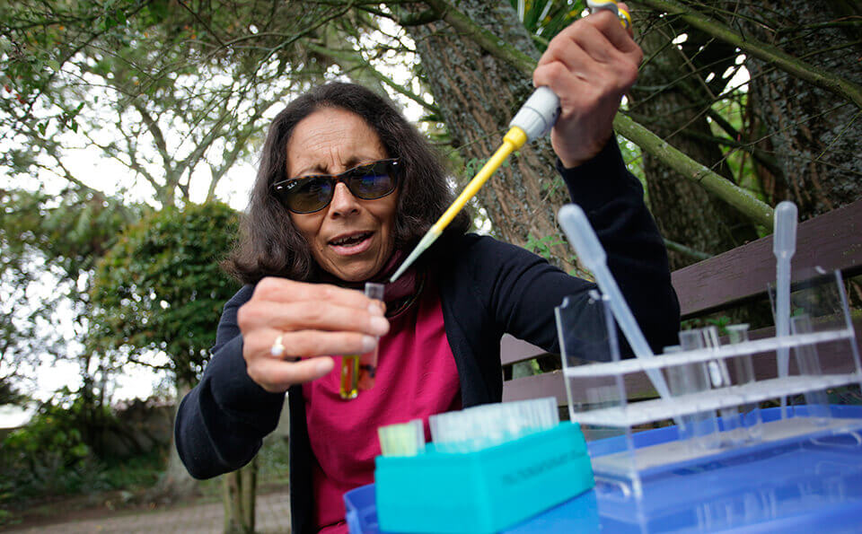 mujer con gafas, está sentada al aire libre tomando una muestra de bacterias