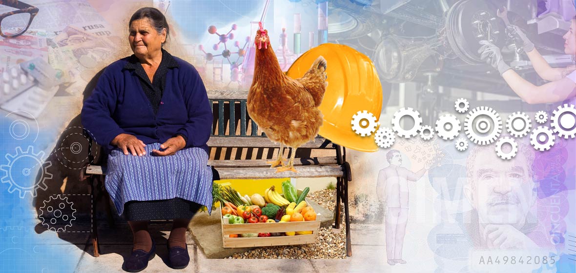 Collage mujer, gallina y mercado.