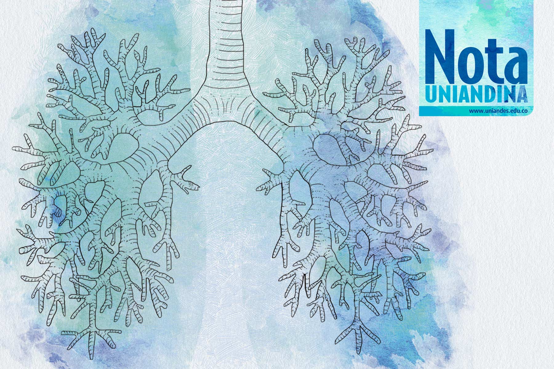 Portada de la Nota Uniandina 55. Ilustración de un pulmón en acuarela.