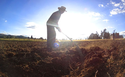 Campesino cultivando la tierra. 
