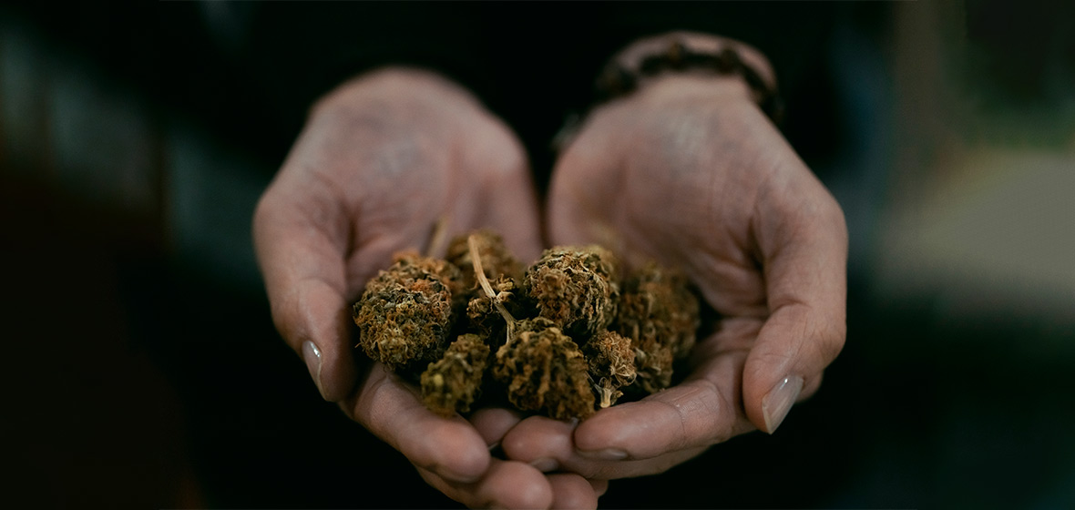 Foto de unas manos que sostienen cannabis