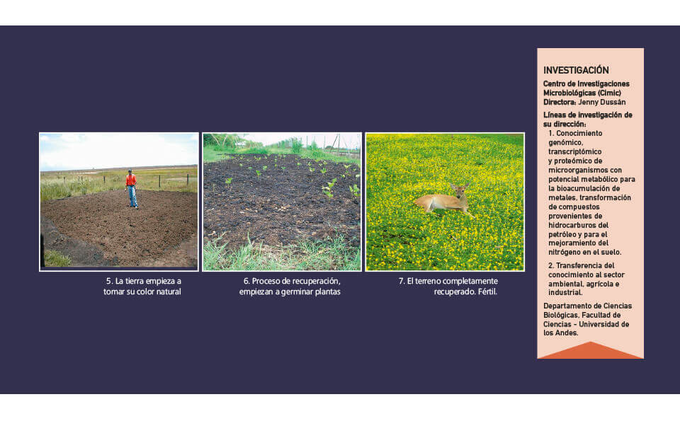 tres fotos en secuencia y un cuadro de texto indicando el proceso del control de derrame de petroleo