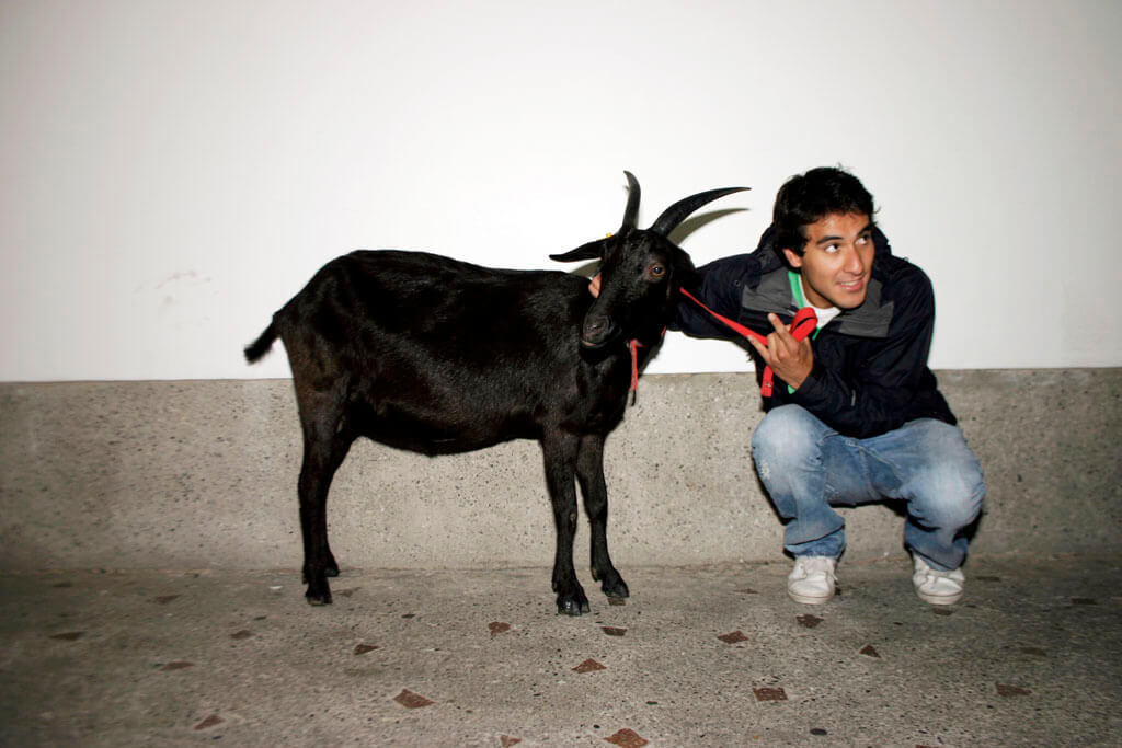 Una cabra, similar al Séneca original, era traída al Campus y sus alrededores para fechas especiales. 