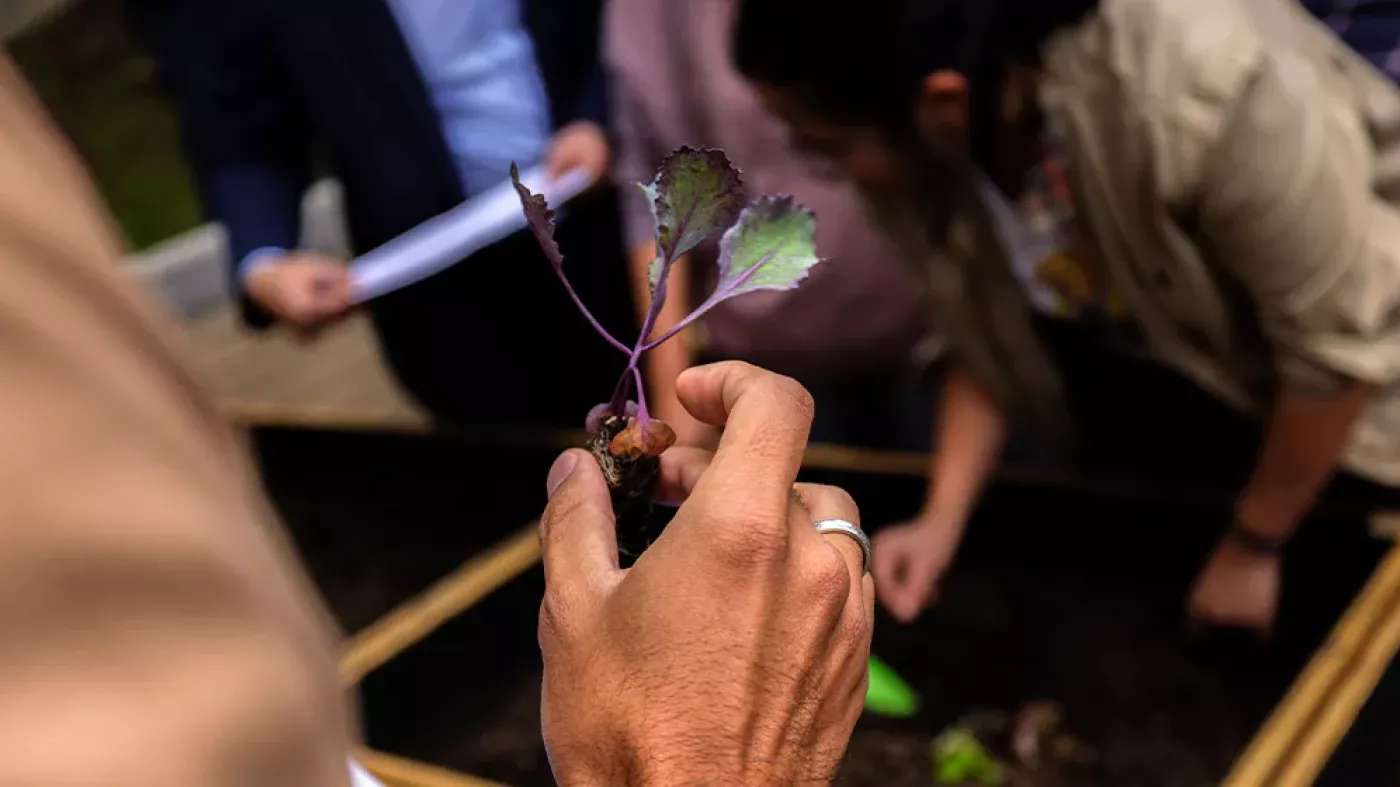 Una mano sostiene una plántula.