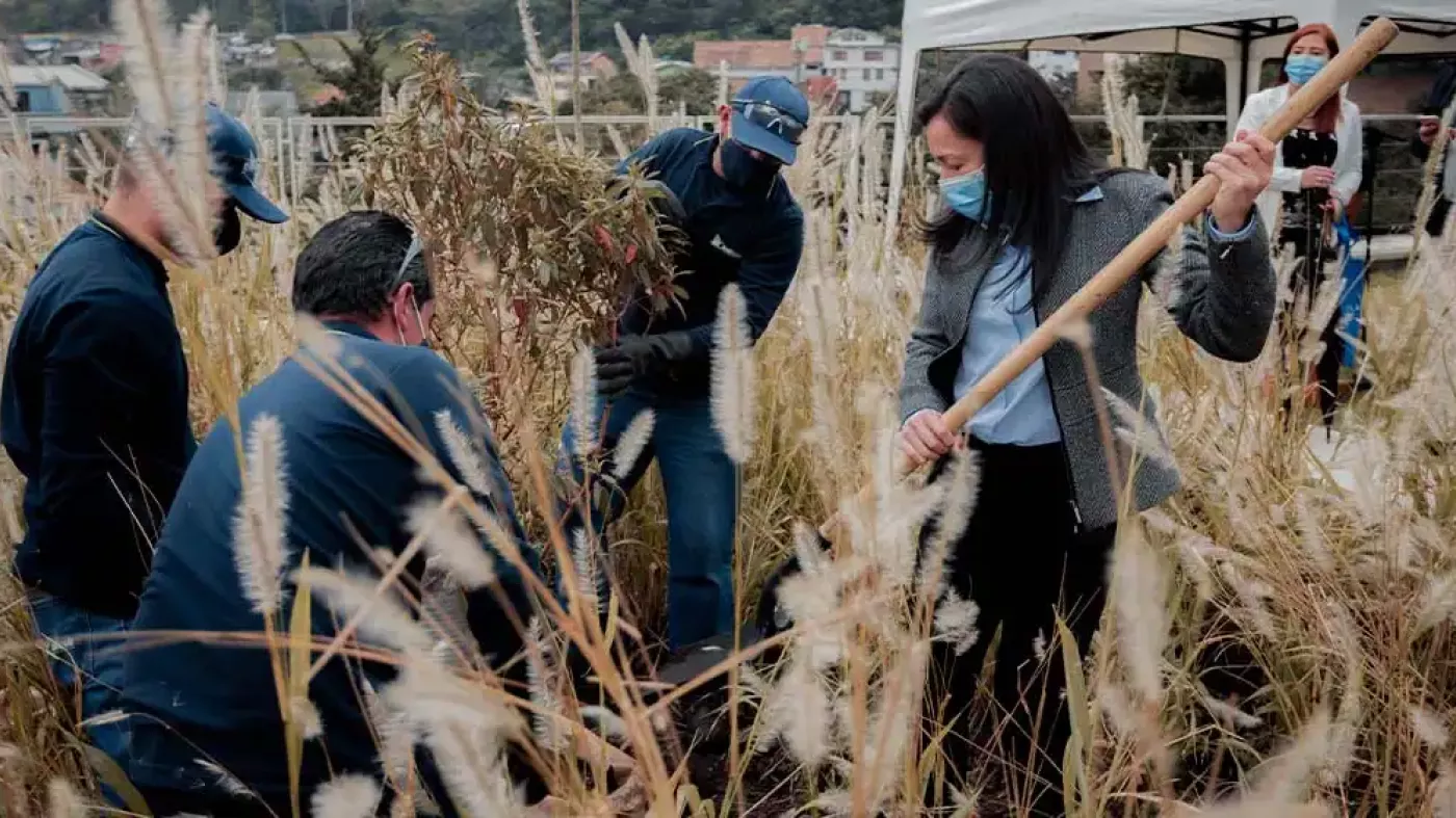 La rectora (e) Raquel Bernal ayuda a plantar el árbol