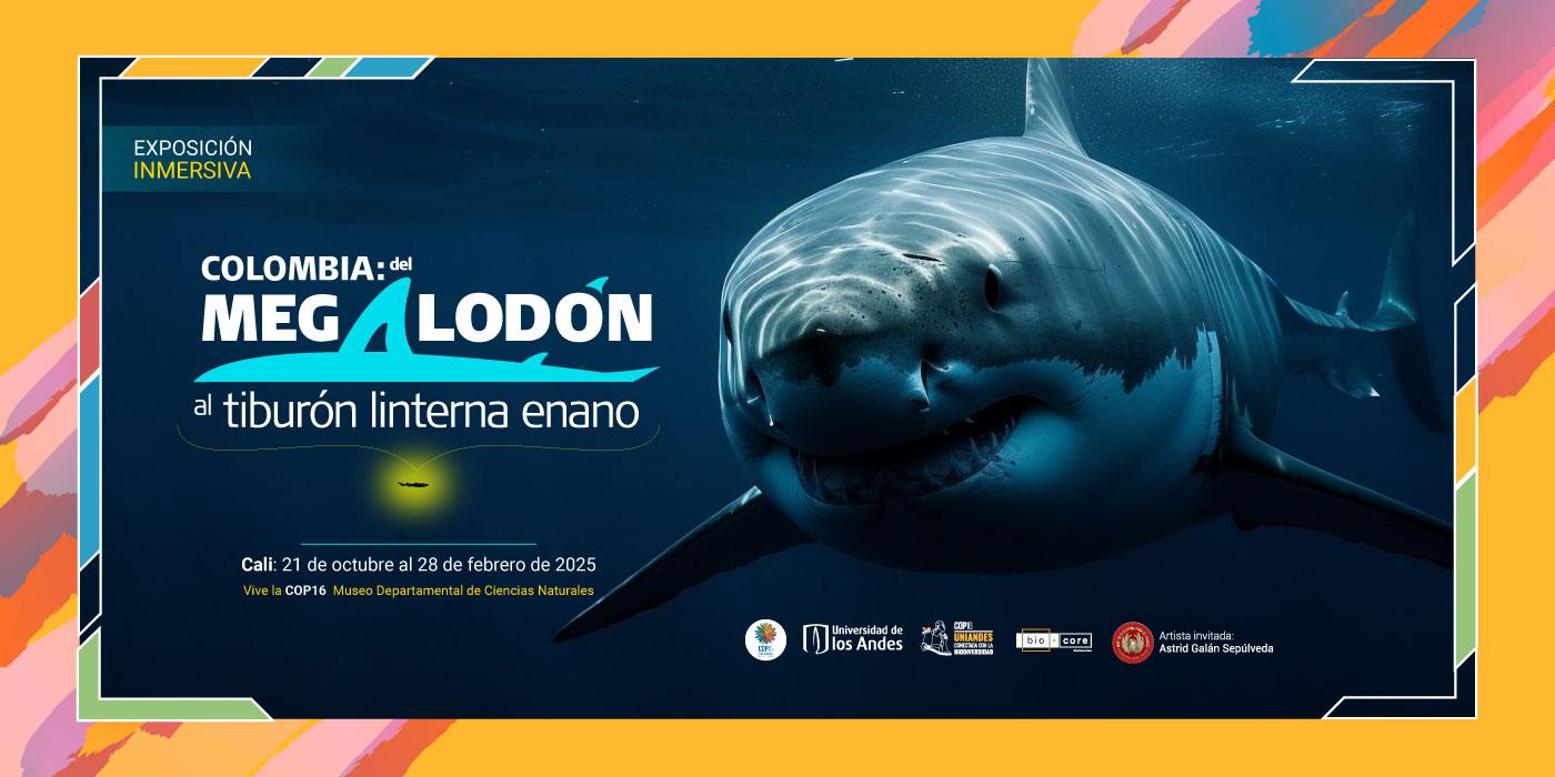 La exposición de tiburones organizada por la Universidad de los Andes y Museo Departamental de Ciencias Naturales, se traslada a Cali para la COP16.