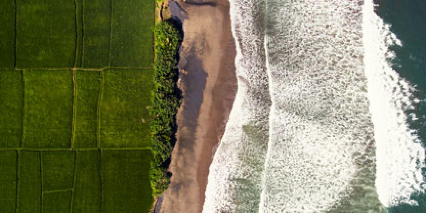 Agricultura en los océanos