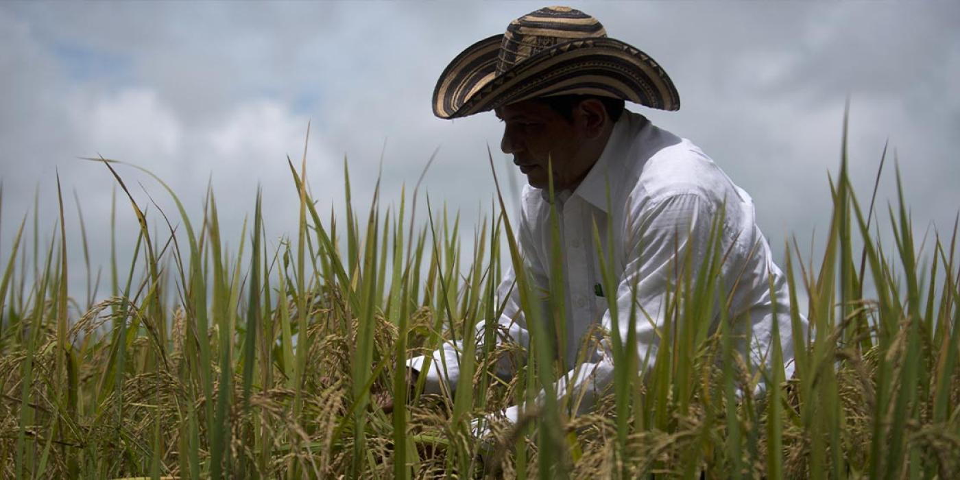 Agricultura y ambiente AFP