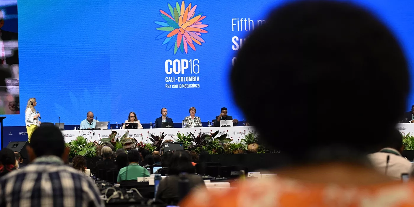 Inicia la COP16 de Cali