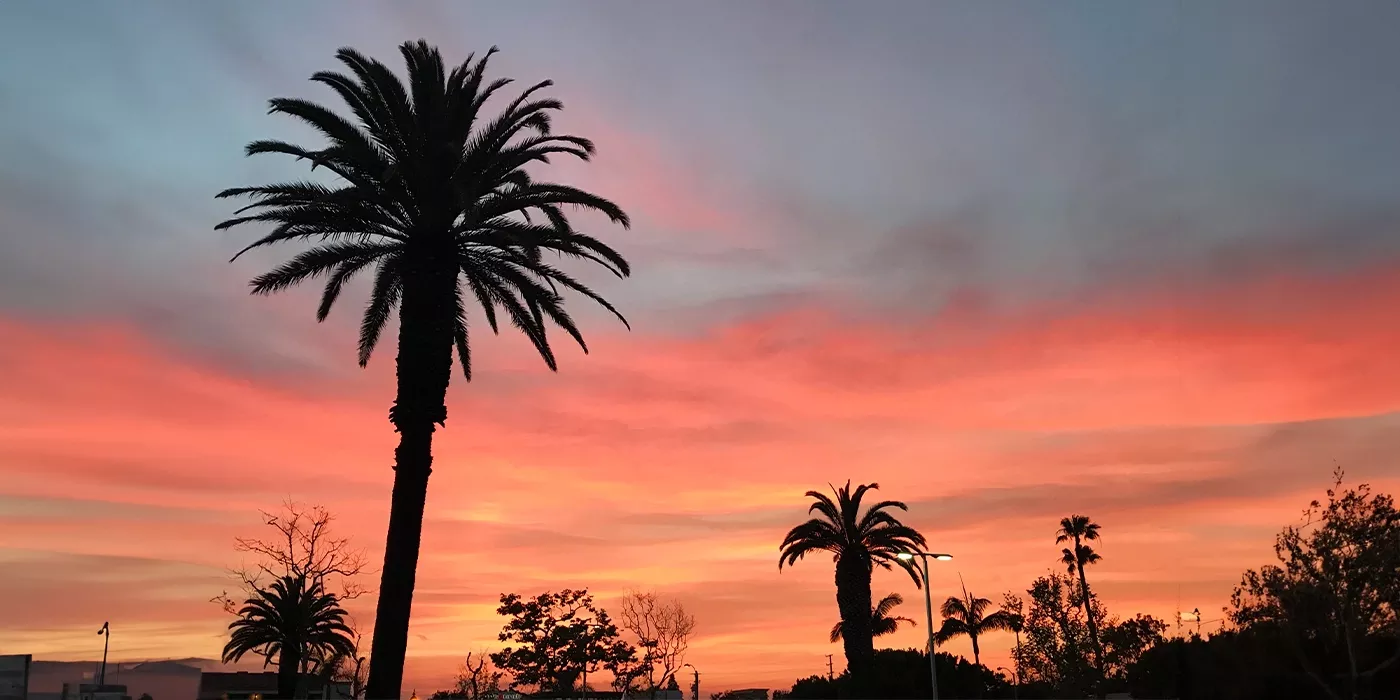 Puesta de sol de Cali con siluetas de palmeras