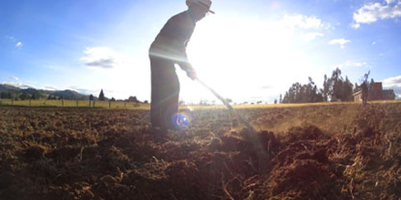 Campesino arando la tierra