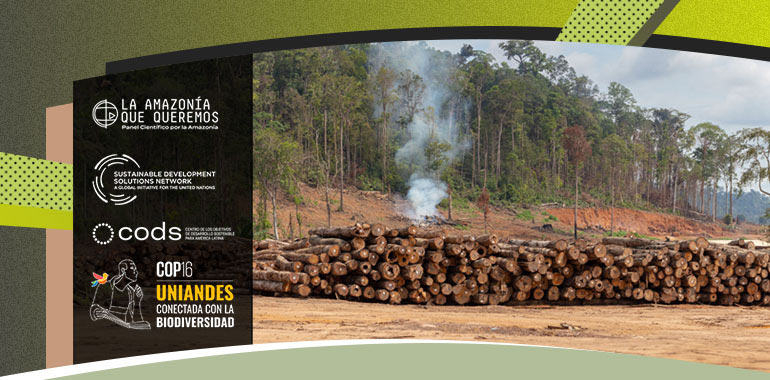 Deforestación de la Amazonía 