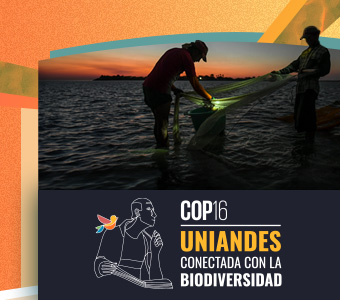 Pescadores y logo de COP16 Uniandes